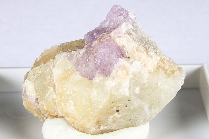 Purple Spinel Crystals with Forsterite & Phlogopite - Tajikistan #380316